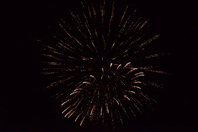 DSC_3401 (Large).JPG